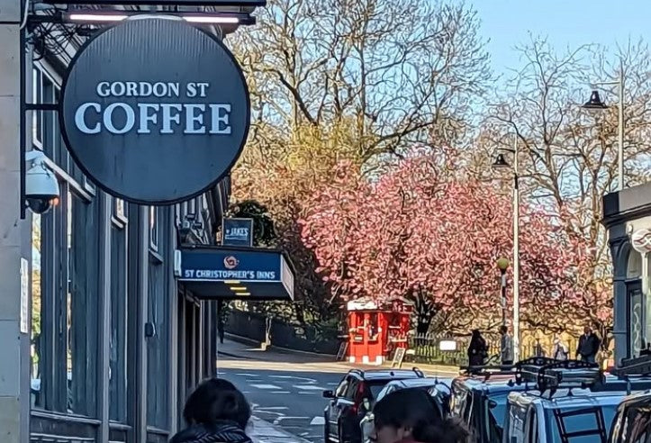 Gordon Square Spring Spring is here... well almost!? – Gordon Street Coffee