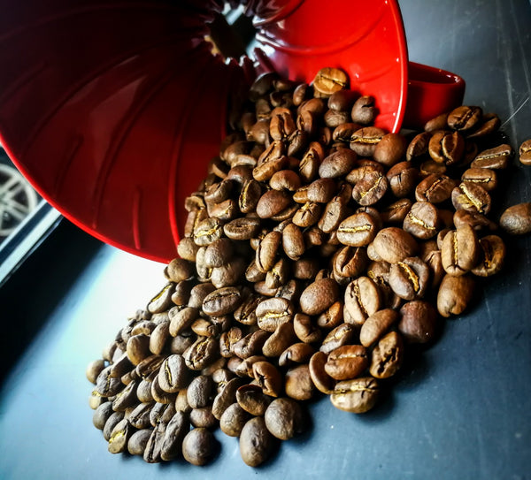 Coffee Degassing – Fresh vs Too Fresh